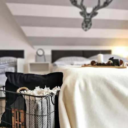 Willabukovinka - Bliskosc Lasu, Wyciagow I Term, Atrakcje Dla Dzieci, Znizki Na Wyciagi, Termy, Karczmy I Atrakcje * Bukowina Tatrzanska