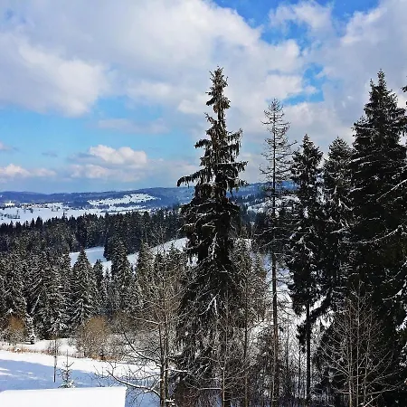 Willabukovinka - Bliskosc Lasu, Wyciagow I Term, Atrakcje Dla Dzieci, Znizki Na Wyciagi, Termy, Karczmy I Atrakcje Apartman