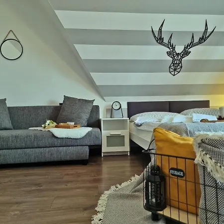 Apartment Willabukovinka - Bliskosc Lasu, Wyciagow I Term, Atrakcje Dla Dzieci, Znizki Na Wyciagi, Termy, Karczmy I Atrakcje *