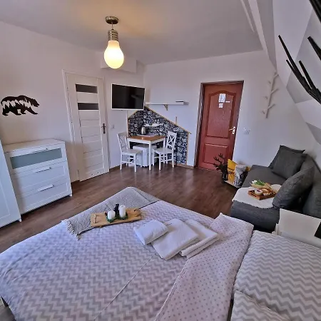Apartment Willabukovinka - Bliskosc Lasu, Wyciagow I Term, Atrakcje Dla Dzieci, Znizki Na Wyciagi, Termy, Karczmy I Atrakcje