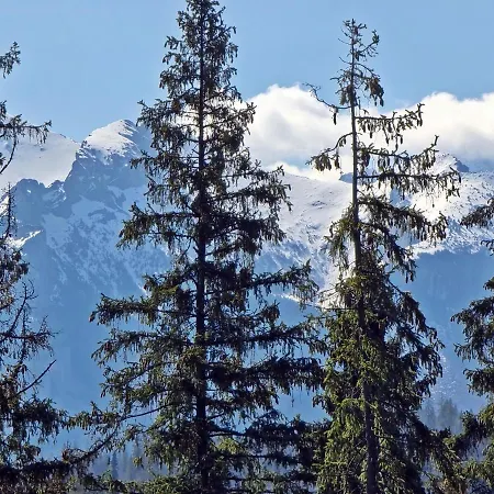 Willabukovinka - Bliskosc Lasu, Wyciagow I Term, Atrakcje Dla Dzieci, Znizki Na Wyciagi, Termy, Karczmy I Atrakcje * Bukowina Tatrzańska