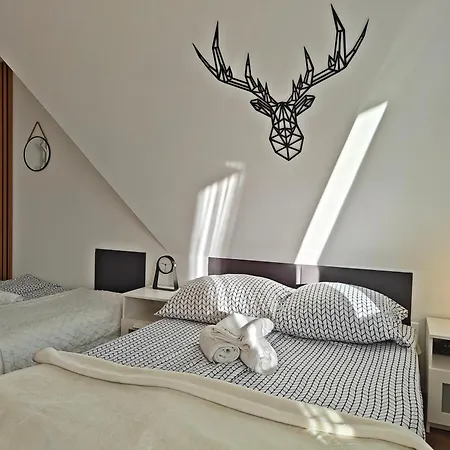 Apartment Willabukovinka - Bliskosc Lasu, Wyciagow I Term, Atrakcje Dla Dzieci, Znizki Na Wyciagi, Termy, Karczmy I Atrakcje *