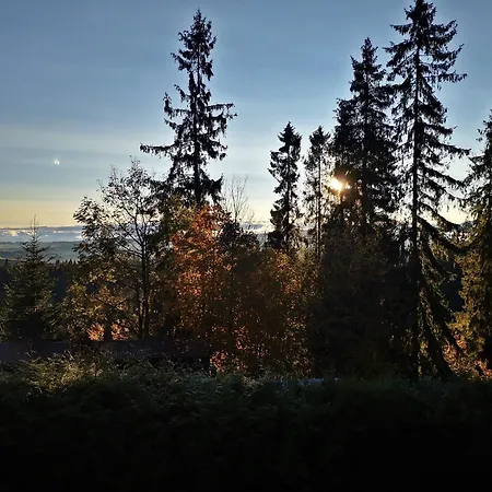 Willabukovinka - Bliskosc Lasu, Wyciagow I Term, Atrakcje Dla Dzieci, Znizki Na Wyciagi, Termy, Karczmy I Atrakcje Lägenhet *