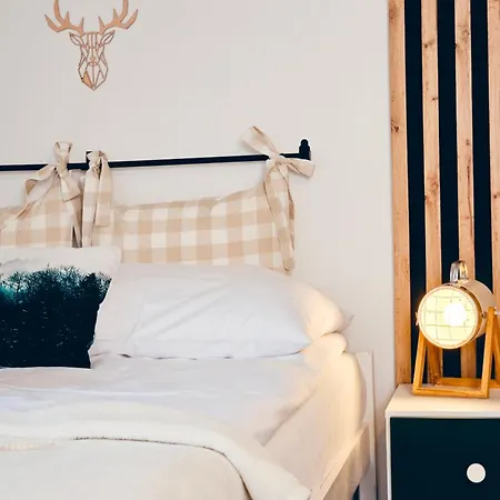Apartment Willabukovinka - Bliskosc Lasu, Wyciagow I Term, Atrakcje Dla Dzieci, Znizki Na Wyciagi, Termy, Karczmy I Atrakcje Bukowina Tatrzanska