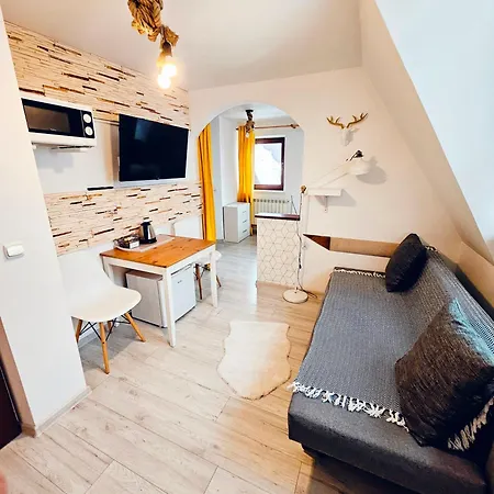 Apartman Willabukovinka - Bliskosc Lasu, Wyciagow I Term, Atrakcje Dla Dzieci, Znizki Na Wyciagi, Termy, Karczmy I Atrakcje *