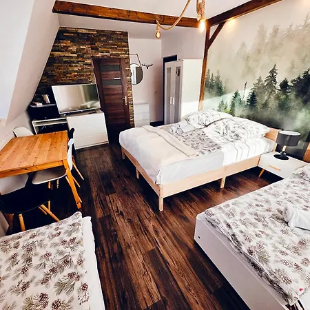 Apartment Willabukovinka - Bliskosc Lasu, Wyciagow I Term, Atrakcje Dla Dzieci, Znizki Na Wyciagi, Termy, Karczmy I Atrakcje *